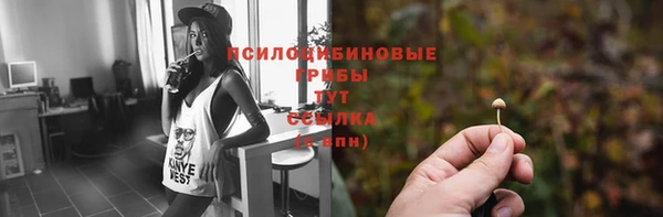 мескалин Каменногорск