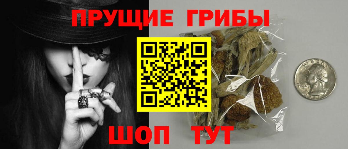 Псилоцибиновые грибы прущие грибы Усть-Лабинск